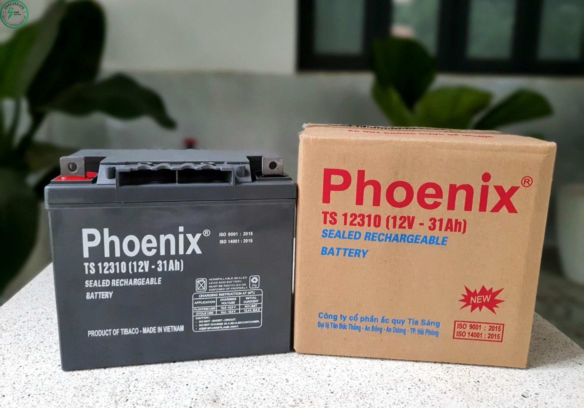 ẮC QUY PHOENIX TS 12310 (12V-31AH) - Ảnh 2