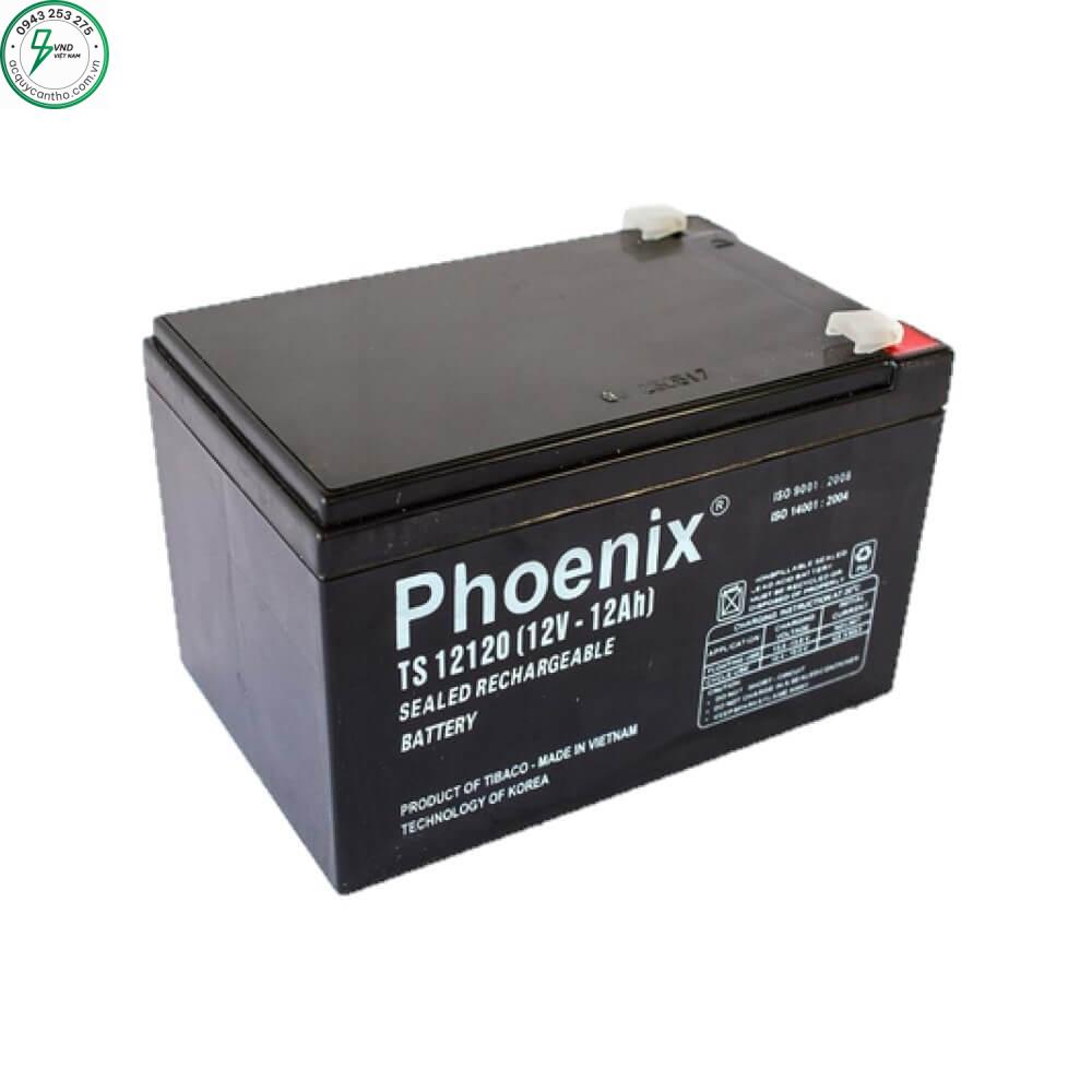 ẮC QUY PHOENIX TS 12120 (12V - 12Ah)