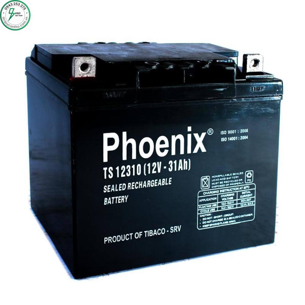 ẮC QUY PHOENIX TS 12310 (12V-31AH)