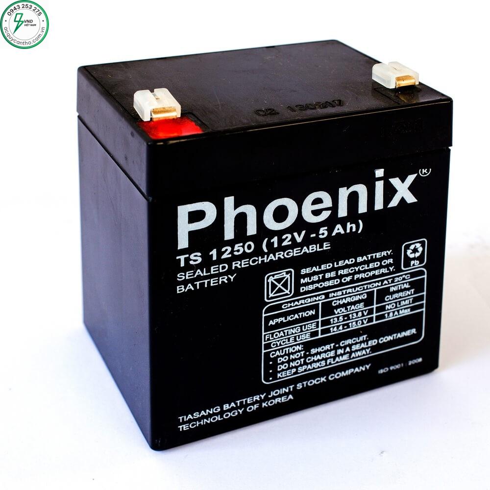 ẮC QUY PHOENIX TS 650 (12V - 5Ah)